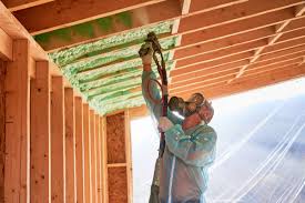 Best Insulation for New Construction  in Grapevine, TX